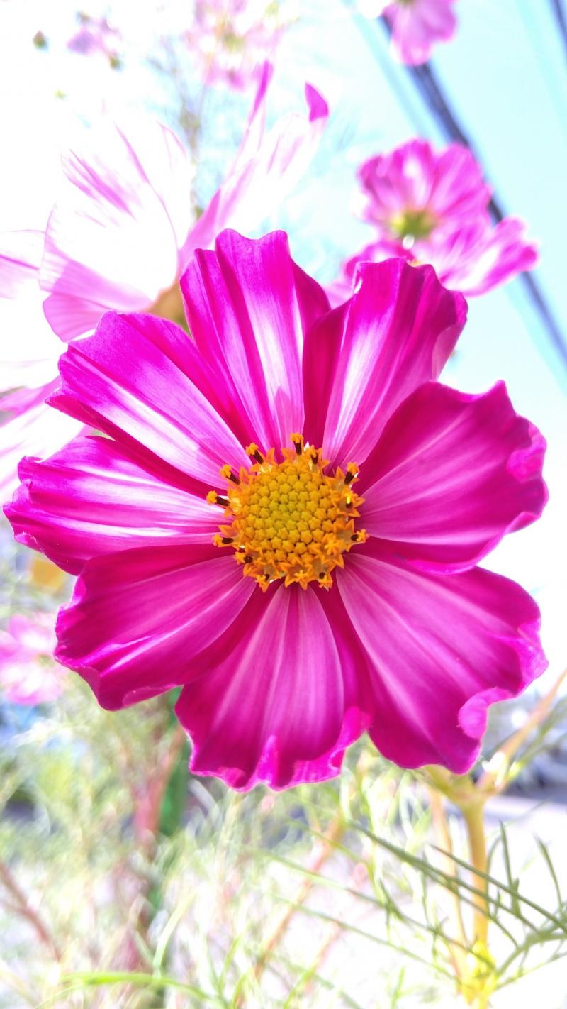 出品者名-写真-1